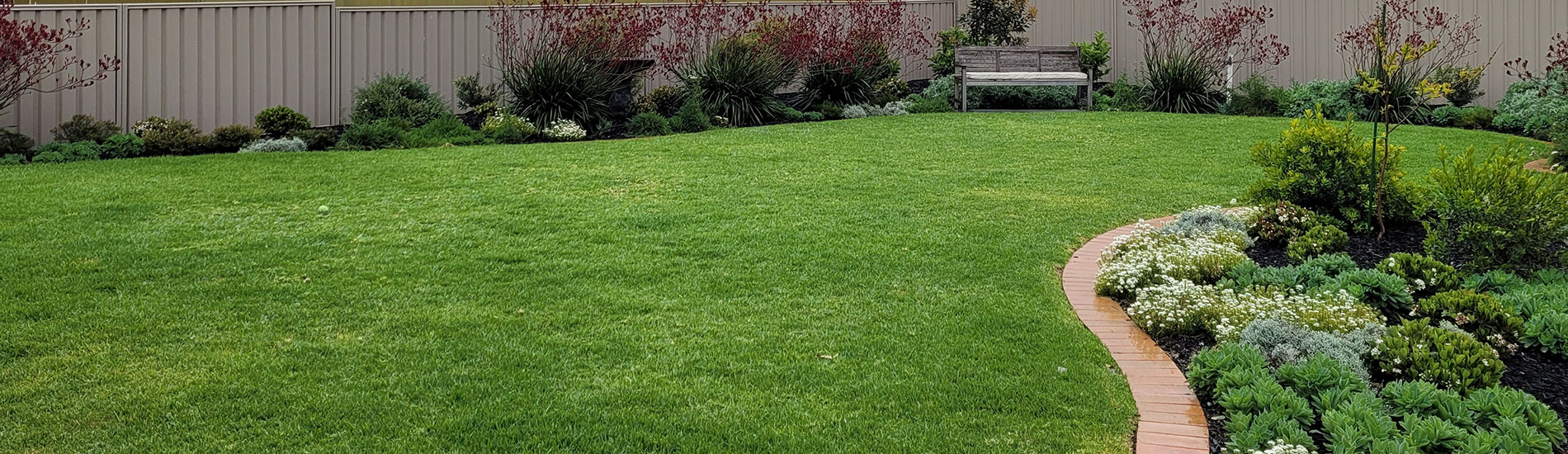 Lawn Adelaide | Hand Made Gardens