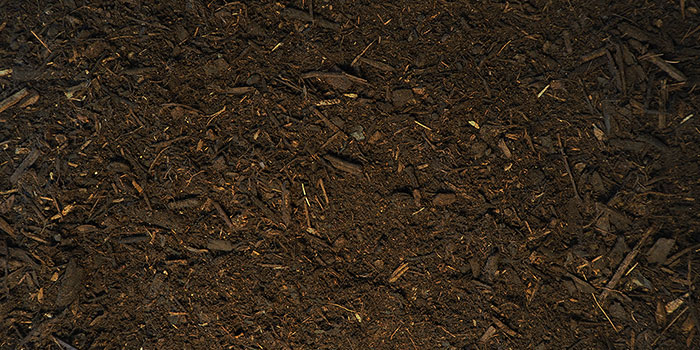 Forest Mulch Close Up