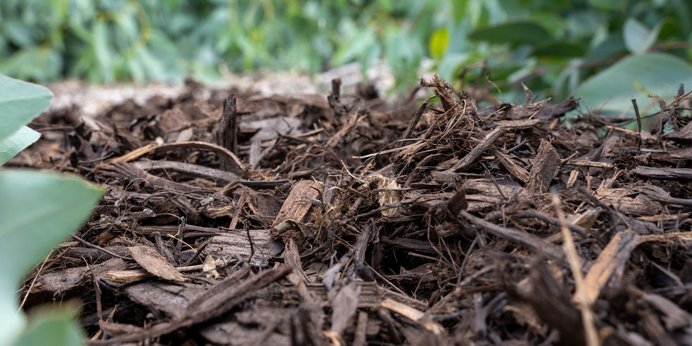 Best Mulch Adelaide | Hand Made Gardens