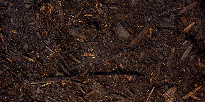 Recover Mulch Close Up