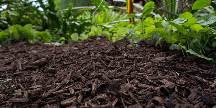 Recover Mulch Adelaide In Use