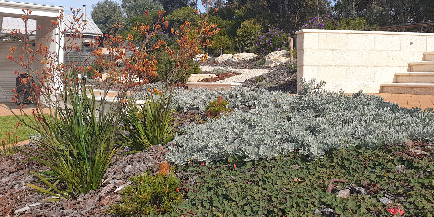 Landscaping Native Gardens Adelaide | Hand Made Gardens