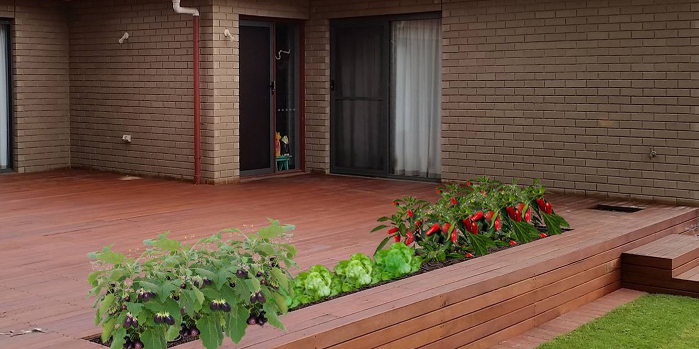 Raised Hardwood Timber Decking