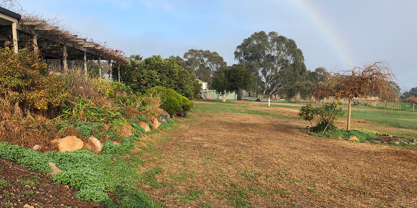 Before Landscaping By Hand Made Gardens