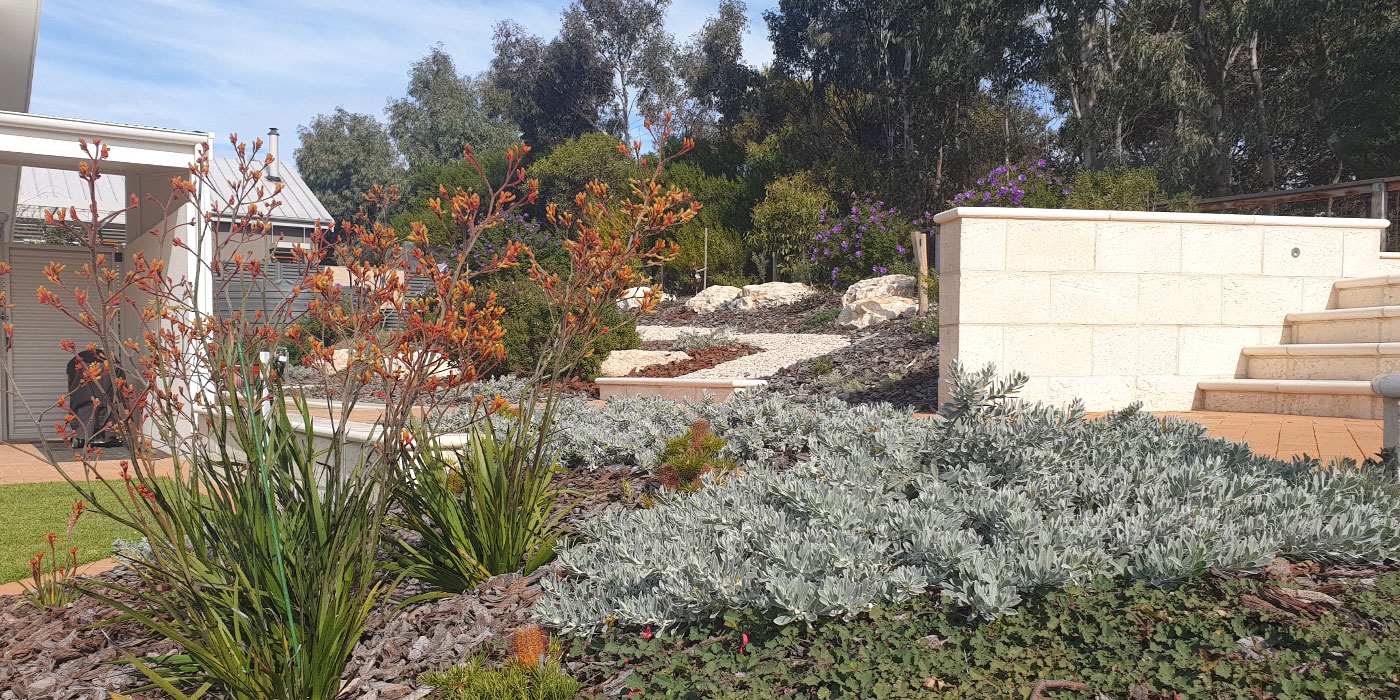 Native Garden Landscaping Adelaide | Hand Made Gardens