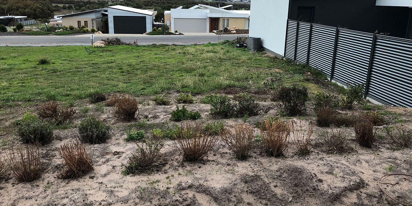 Before Garden Makeover At Victor Harbor