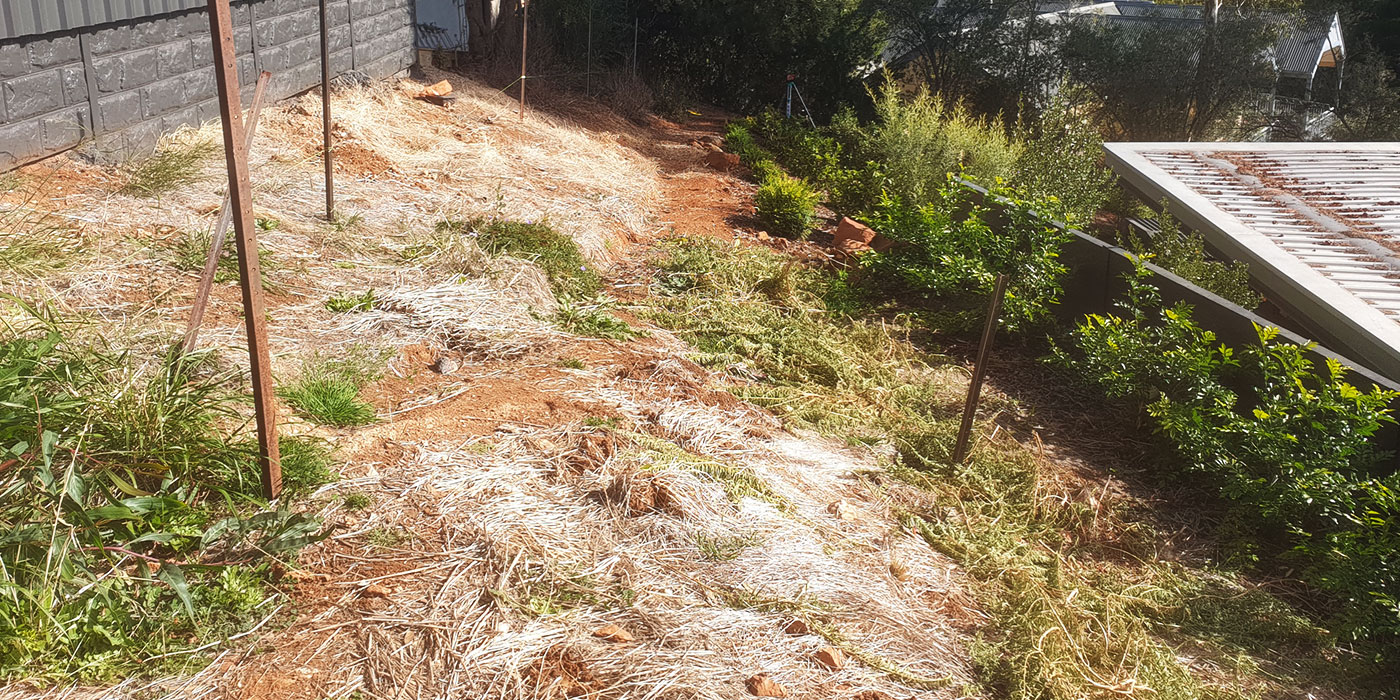 Backyard Path To Top (Before Landscaping)