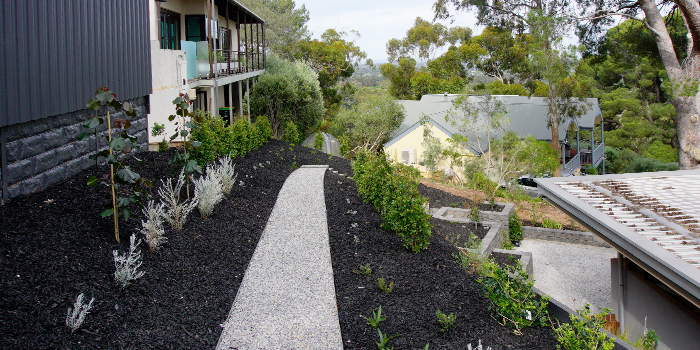 Path From Top After Landscaping
