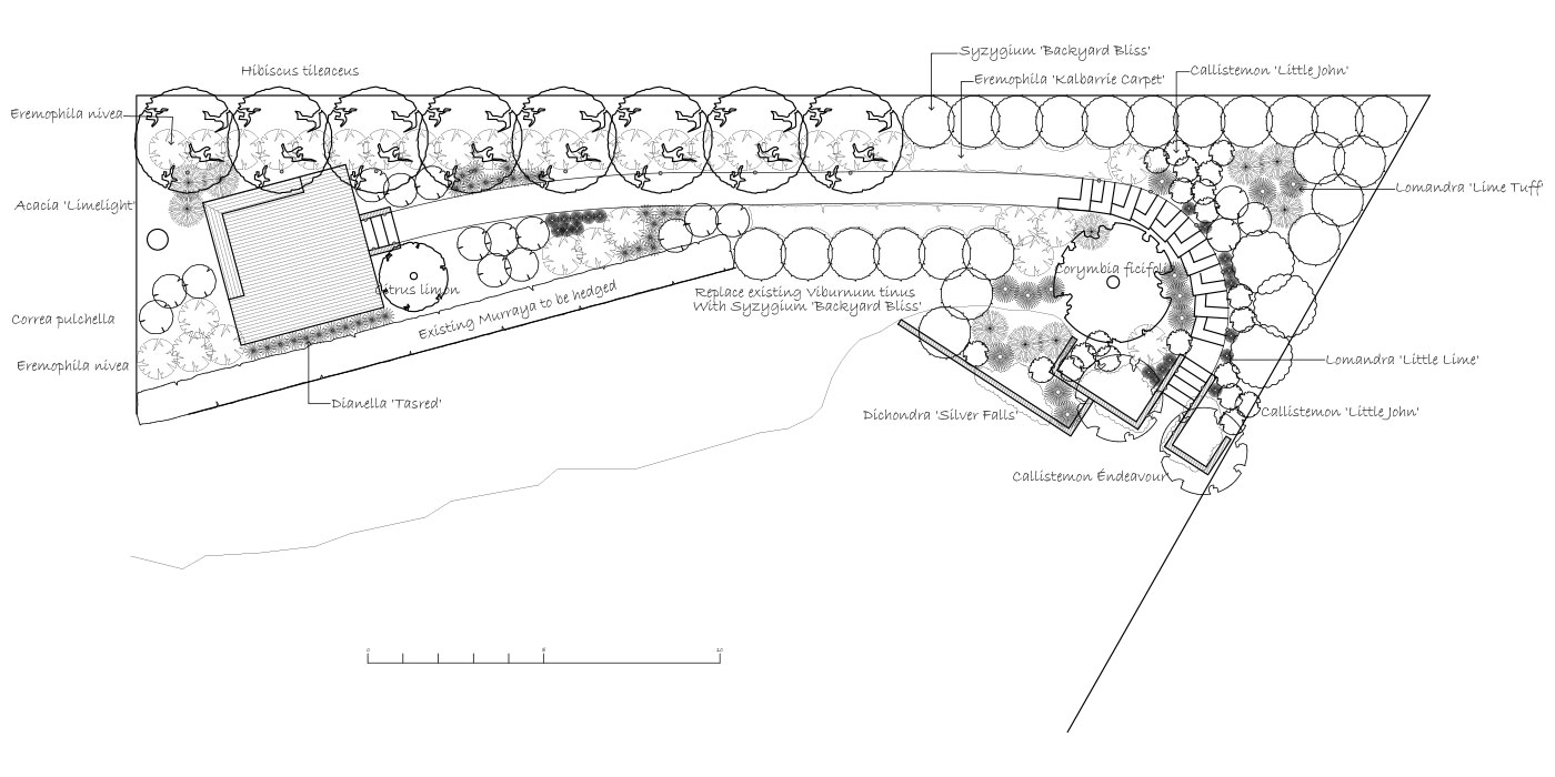 Softscape Landscaping Plan