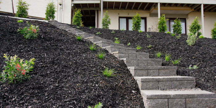 Steps After Landscaping