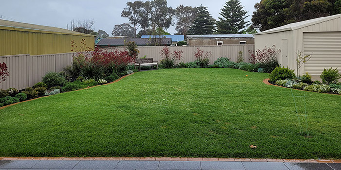 Native Garden Renovation Adelaide SA