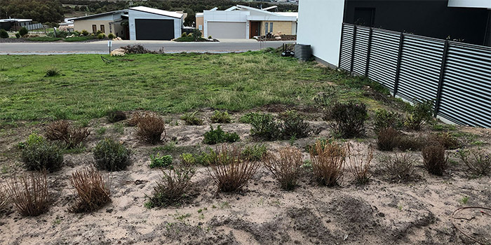 New Home Garden Renovation Adelaide