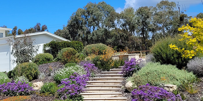 Native Garden Landscaping | Low Maintenance Landscaping