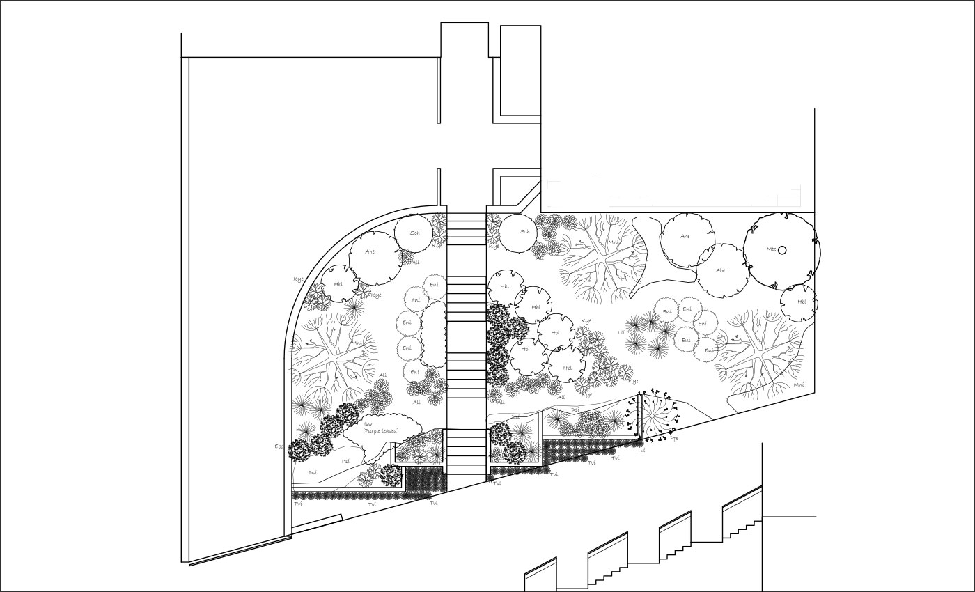 Softscape Landscaping Plan